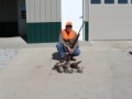 Jack Hart writes: Good dogs, generous hosts, beautiful terraine, fat pheasants and fast chukars, all in a perfectly natural Nebraska farm setting -- what more could a bird hunter ask for?